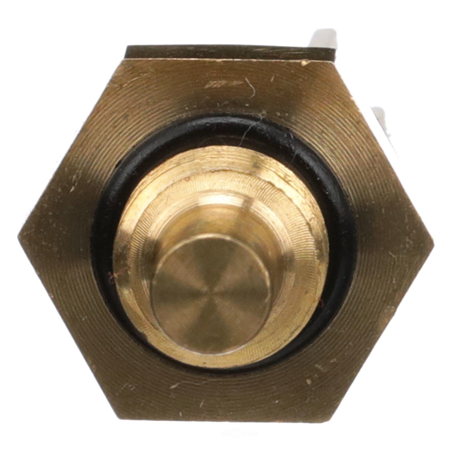 Coolant Temp Sensor  Delphi  TS10288