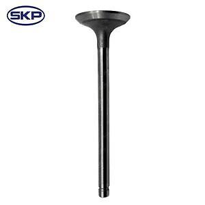 Intake Valve  Skyward Automotive  SKV4583