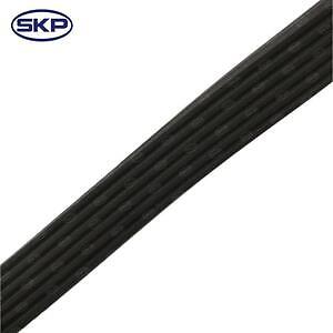Serpentine Belt  Skyward Automotive  SK060866