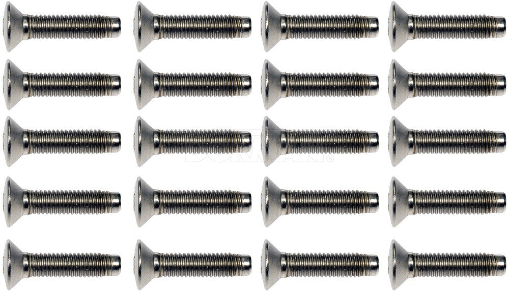 Door Hinge Screw  Dorman/Help  45998