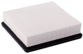Air Filter  Power Train Components  PA5150