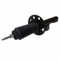 Frt Strut  Motorcraft  AST481