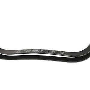 Serpentine Belt  Skyward Automotive  SK060875