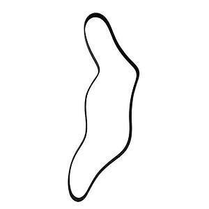 Serpentine Belt  Skyward Automotive  SK060605
