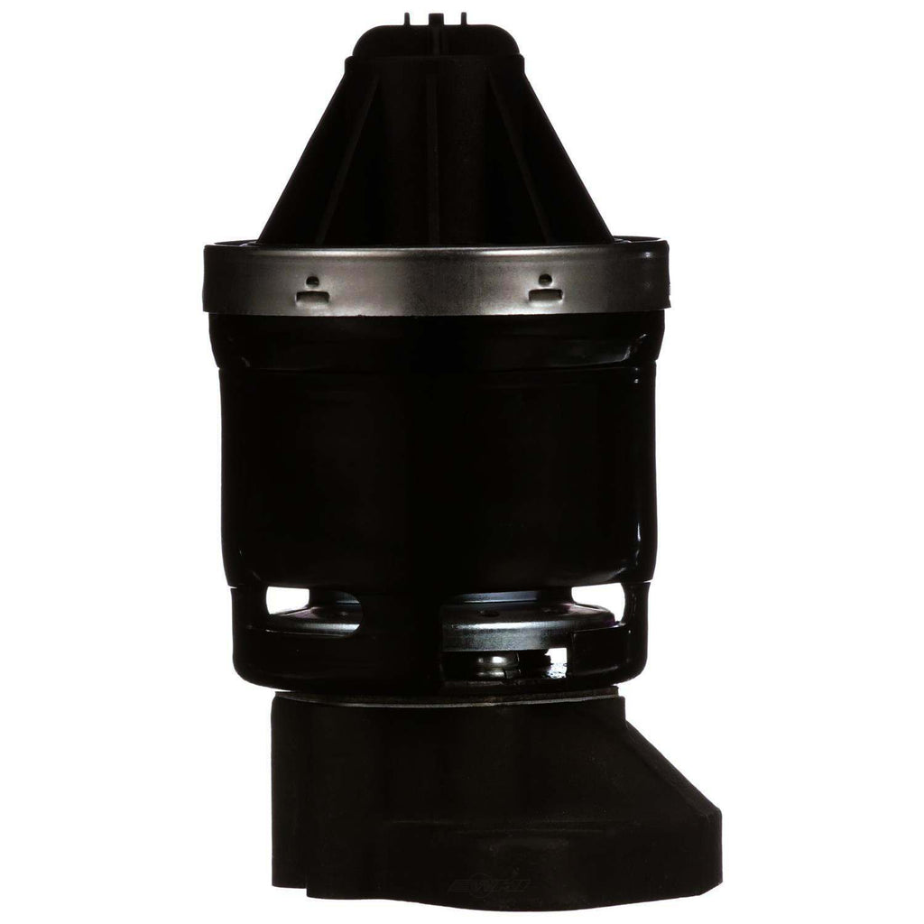 EGR Valve  Delphi  EG10505