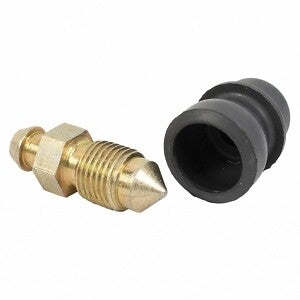 Bleeder Screw-Frt Disc  Motorcraft  BKBOE17