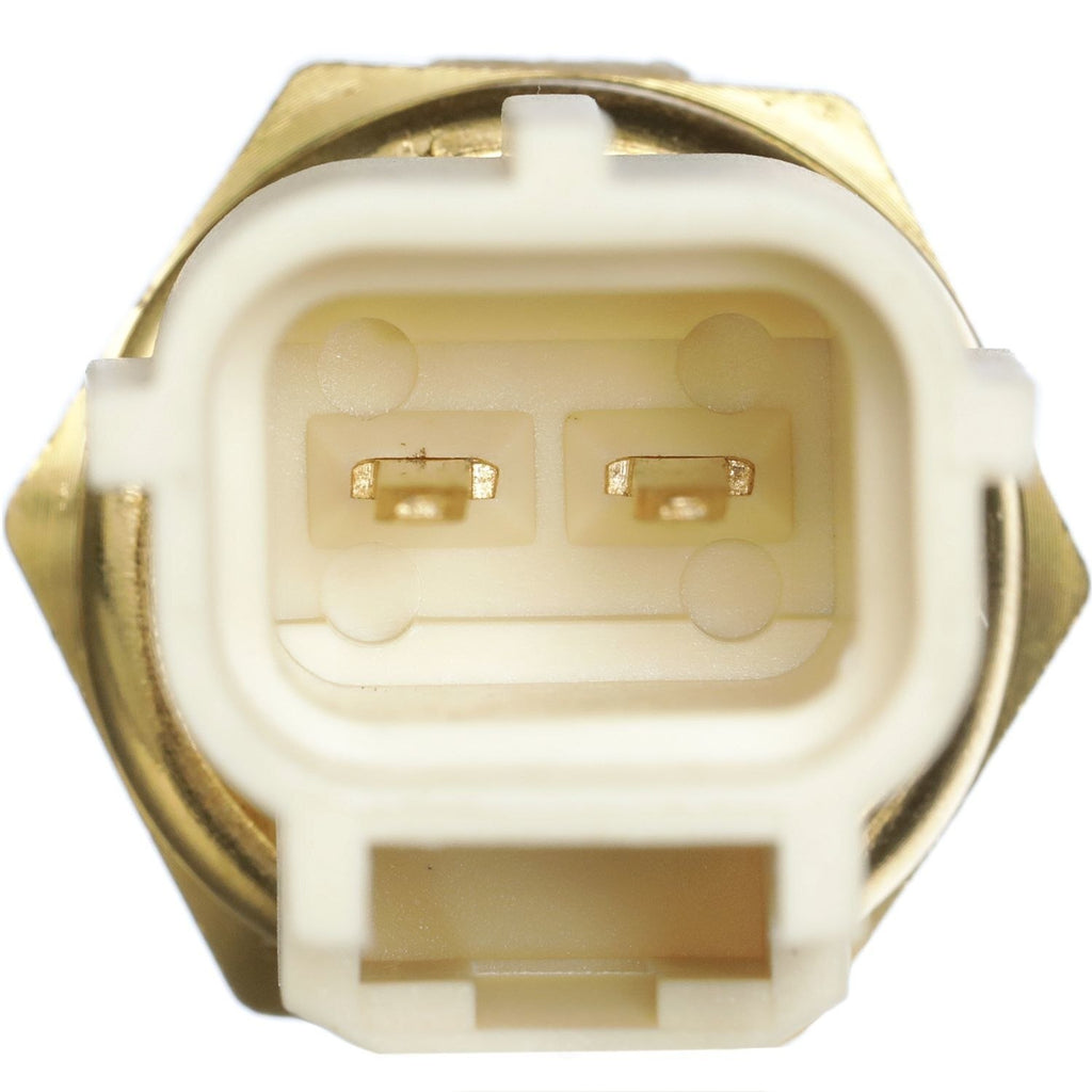 Coolant Temp Sensor  Delphi  TS10289