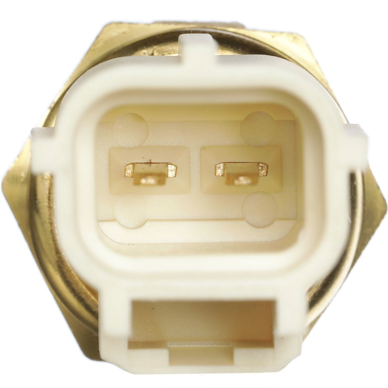 Coolant Temp Sensor  Delphi  TS10289