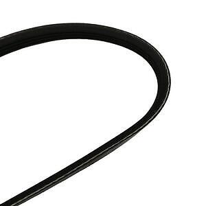 Serpentine Belt  Skyward Automotive  SK040337