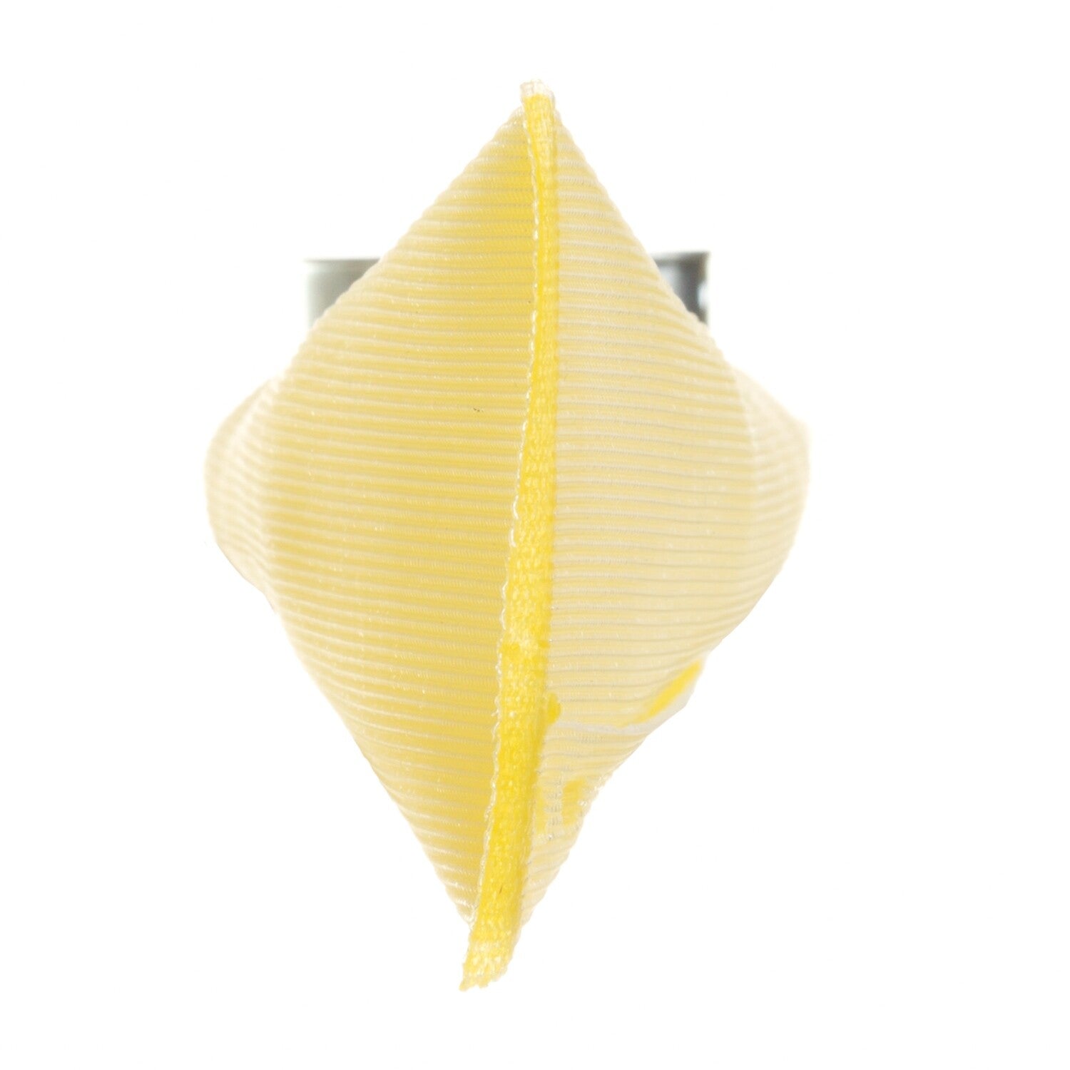 Fuel Pump Strainer  Delphi  FS0031