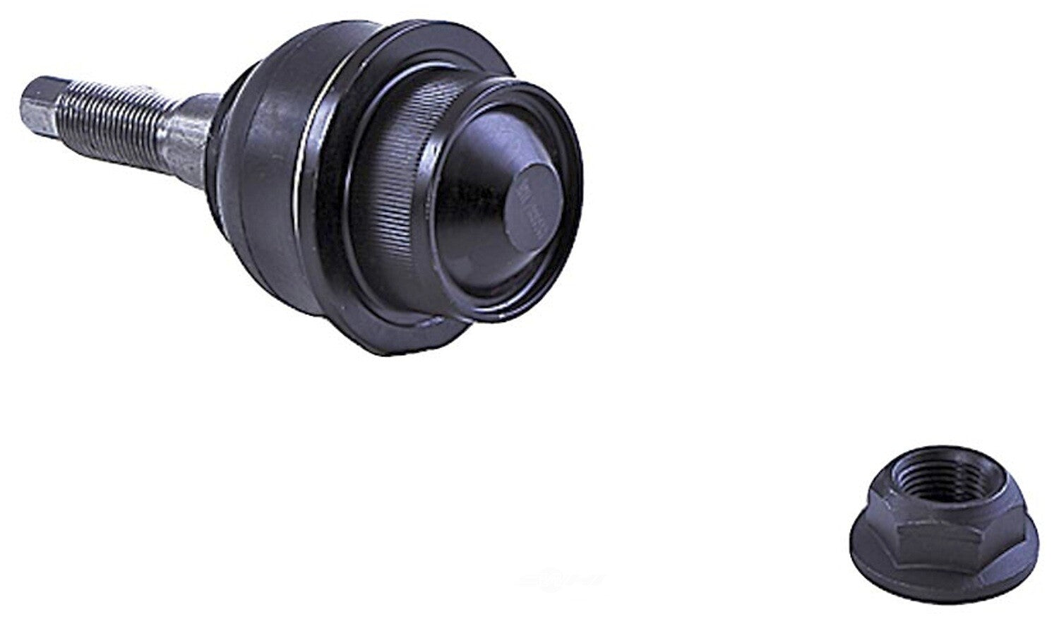 Lower Ball Joint   FVP   BJ82275