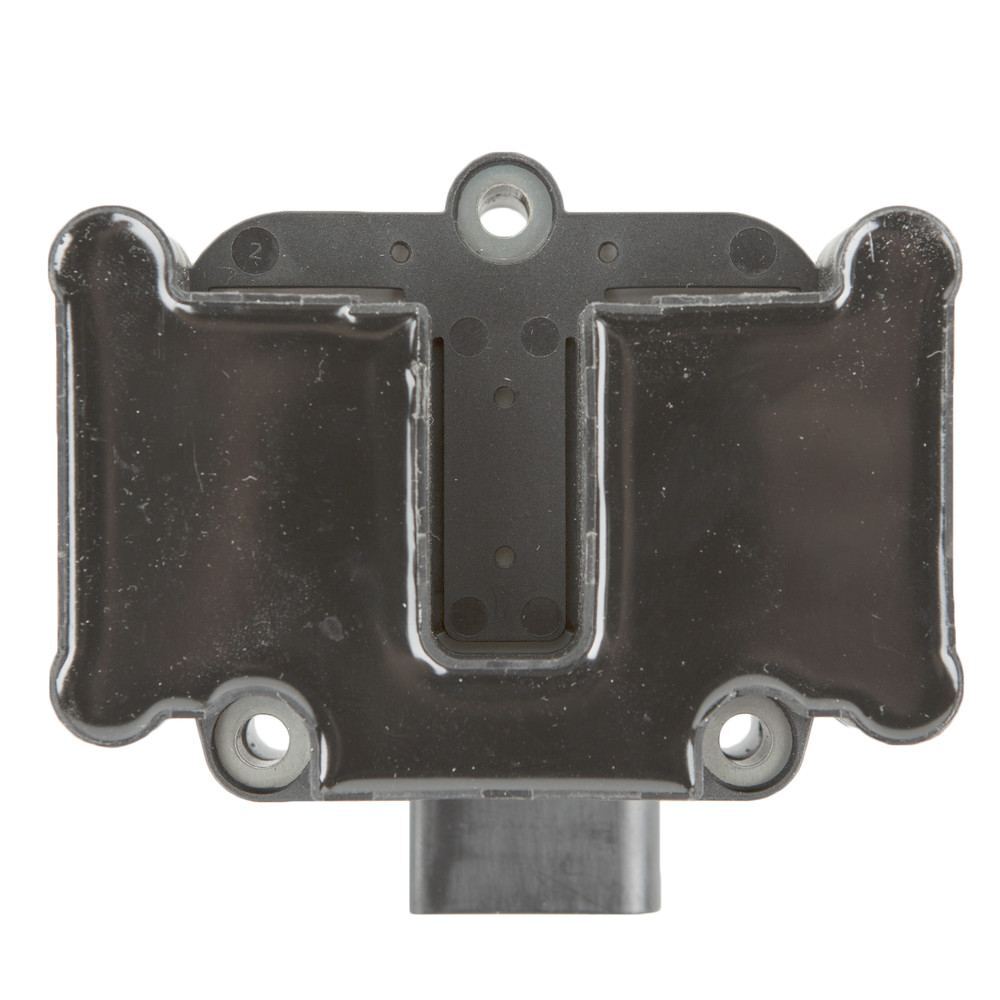 Ignition Coil  Delphi  GN10018