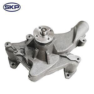 New Water Pump  Skyward Automotive  SK1259090