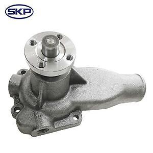 New Water Pump  Skyward Automotive  SK1251390