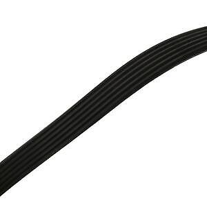 Serpentine Belt  Skyward Automotive  SK060875