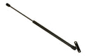 Lift Support  Sachs  SG325013