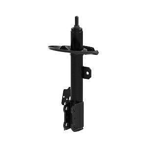 Frt OESpectrum Strut  Monroe/Expert Series  73089
