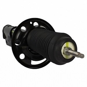 Shock Absorber  Motorcraft  AST24666