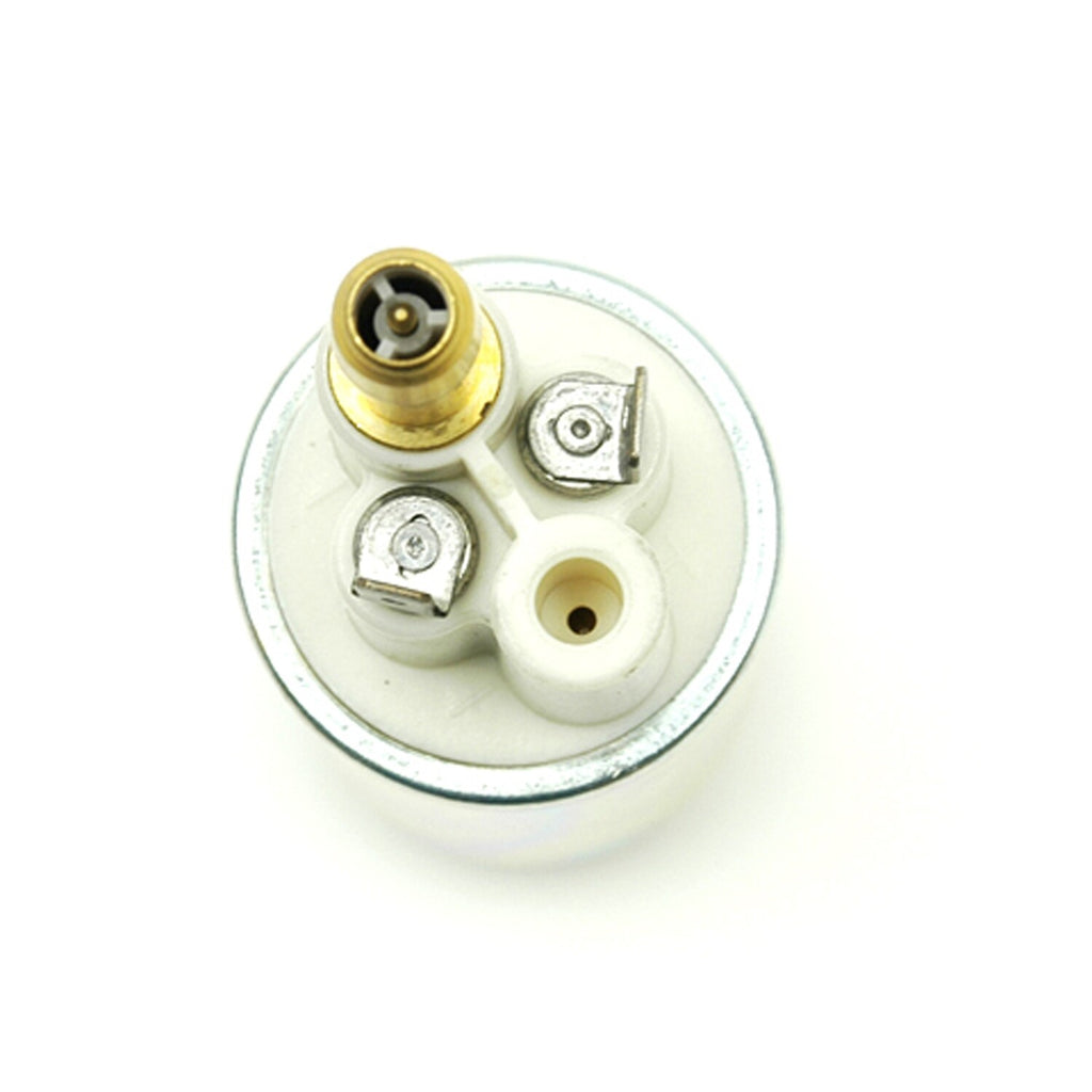 Electric Fuel Pump  Delphi  FE0310