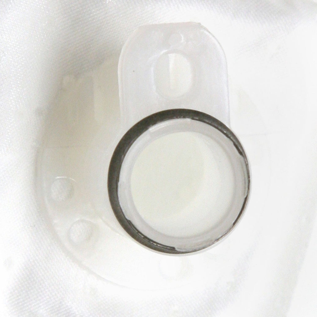 Fuel Pump Strainer  Delphi  FS0193