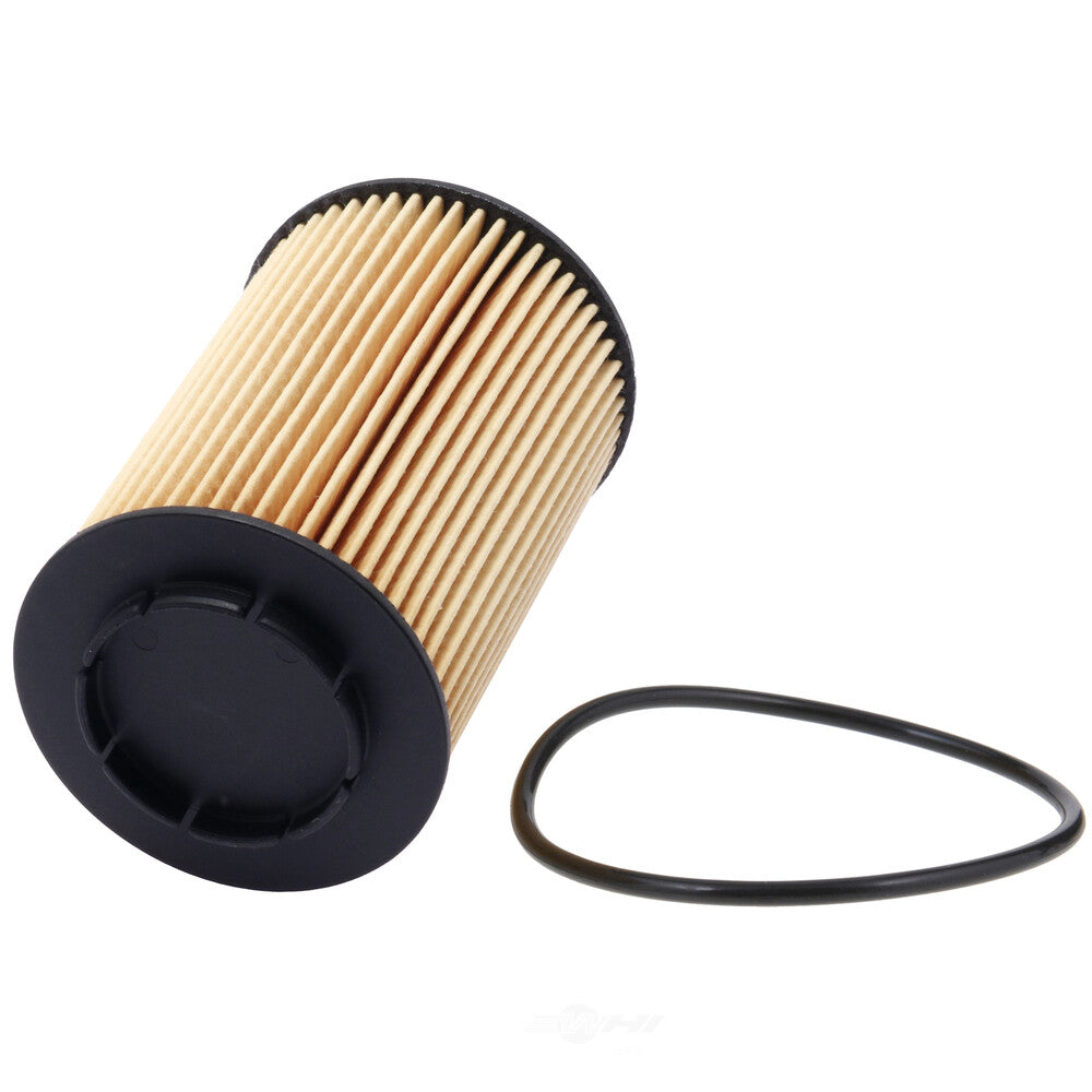 Oil Filter  Champ/Champion Labs  P1014