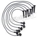 Ignition Wire Set  Walker Products  924-2079