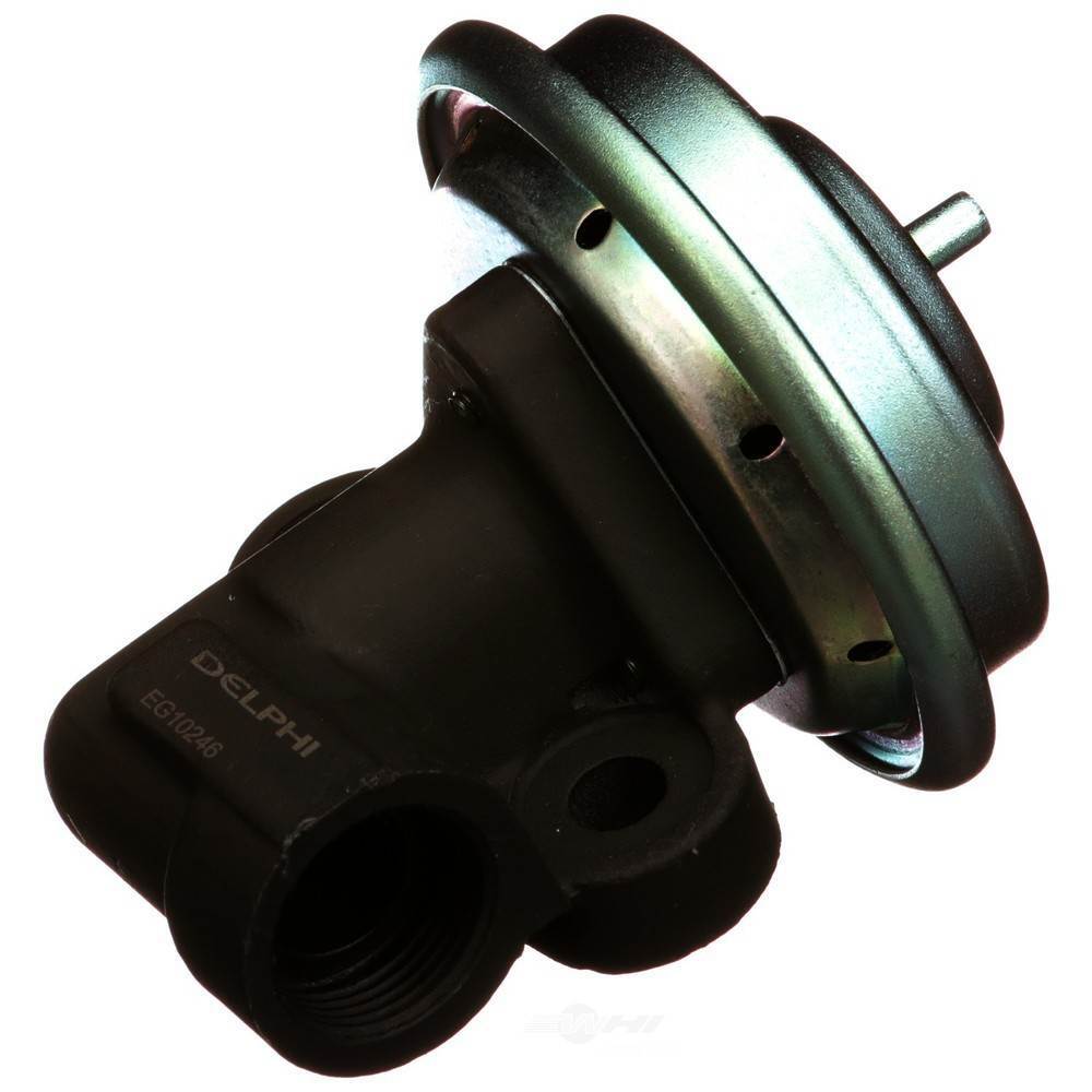 EGR Valve  Delphi  EG10246