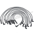 Ignition Wire Set  Walker Products  924-1413