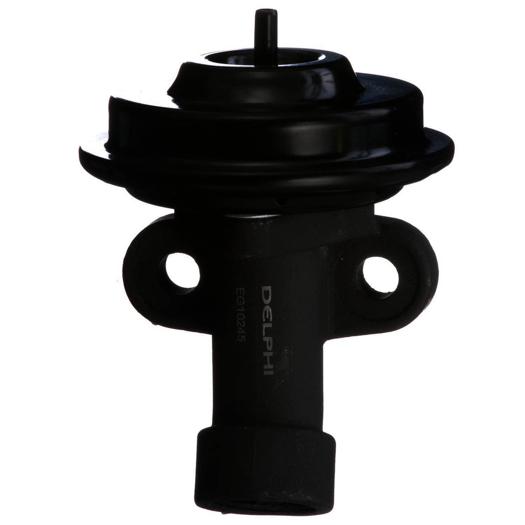 EGR Valve  Delphi  EG10245