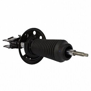 Frt Strut  Motorcraft  AST12275