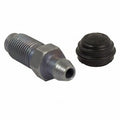 Rr Bleeder Screw  Motorcraft  BKBF11
