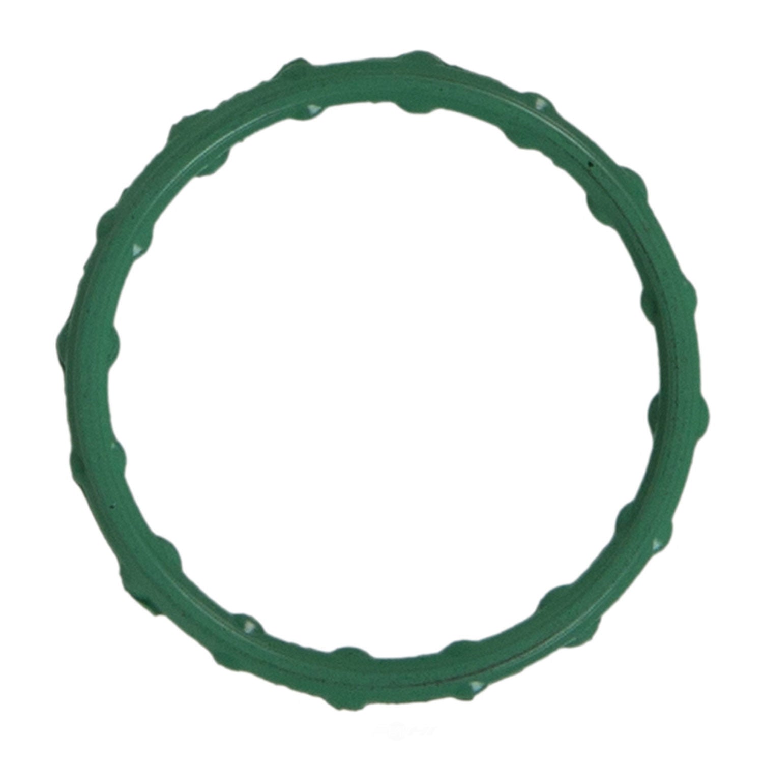 Water Pump Housing Gasket   Fel-Pro   35973