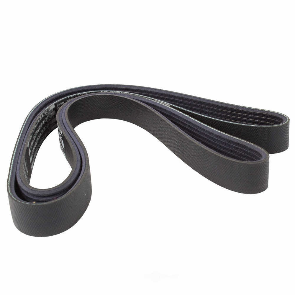 Serpentine Belt  Motorcraft  JK6-648