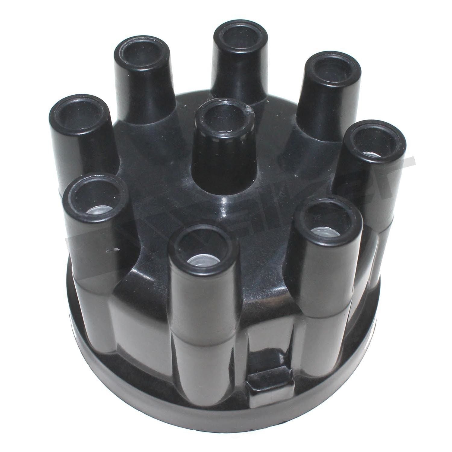 Dist Cap  Walker Products  925-1014