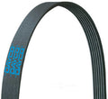 Serpentine Belt  Dayco  5050608