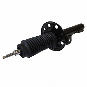 Frt Strut  Motorcraft  AST481