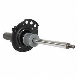 Frt Strut  Motorcraft  AST24720