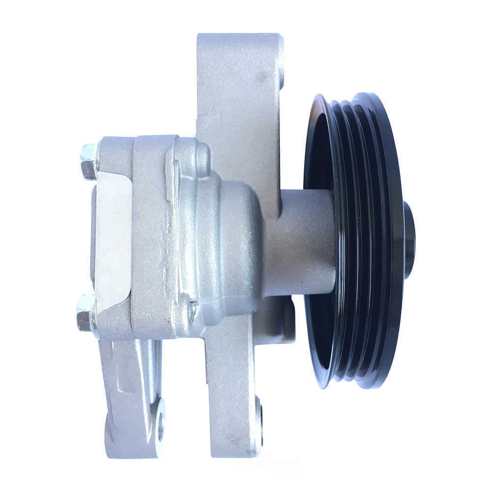New Power Strg Pump  Edelmann  6044P