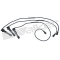 Ignition Wire Set  Walker Products  924-1890A