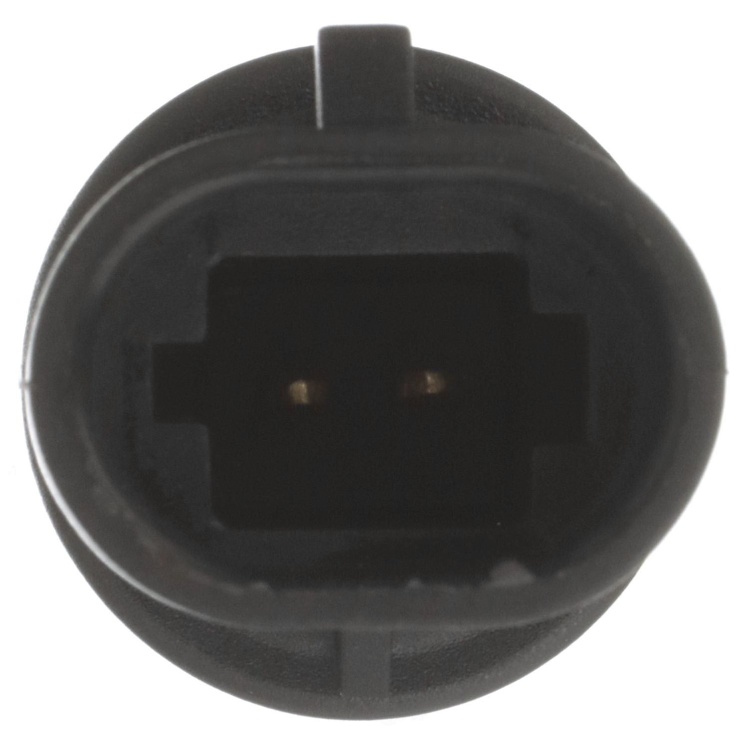 Intake Air Temp Sensor  Delphi  TS10072