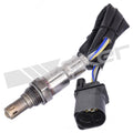 Oxygen Sensor  Walker Products  250-25017