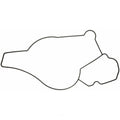 Water Pump Mounting Gasket   Fel-Pro   35612
