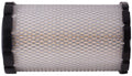Air Filter  Power Train Components  PA5841