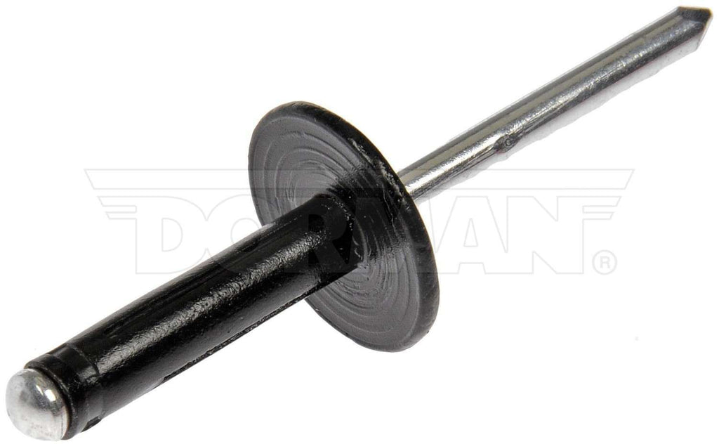 Molding Retainer/Clip  Dorman  963-205D