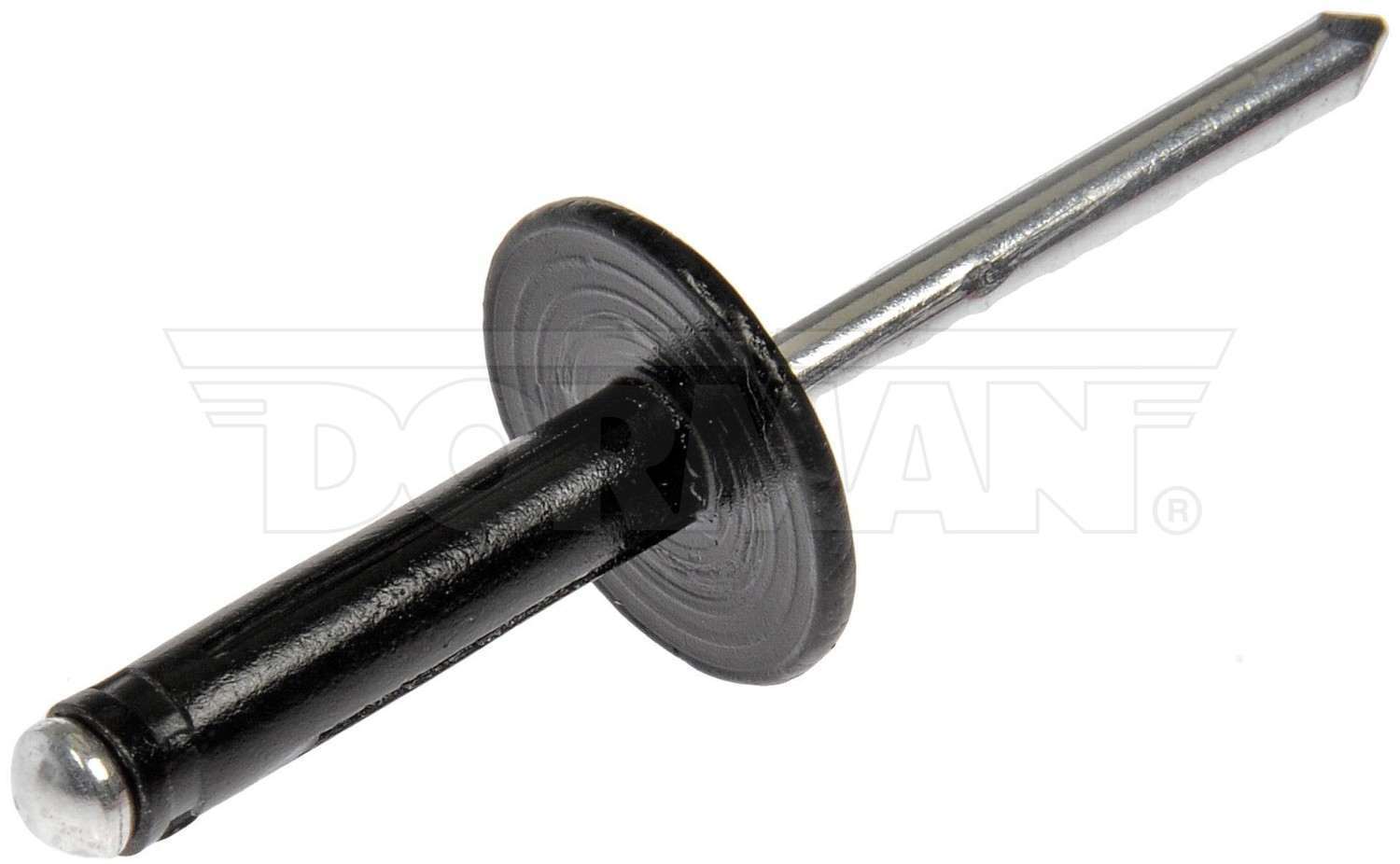 Molding Retainer/Clip  Dorman  963-205D