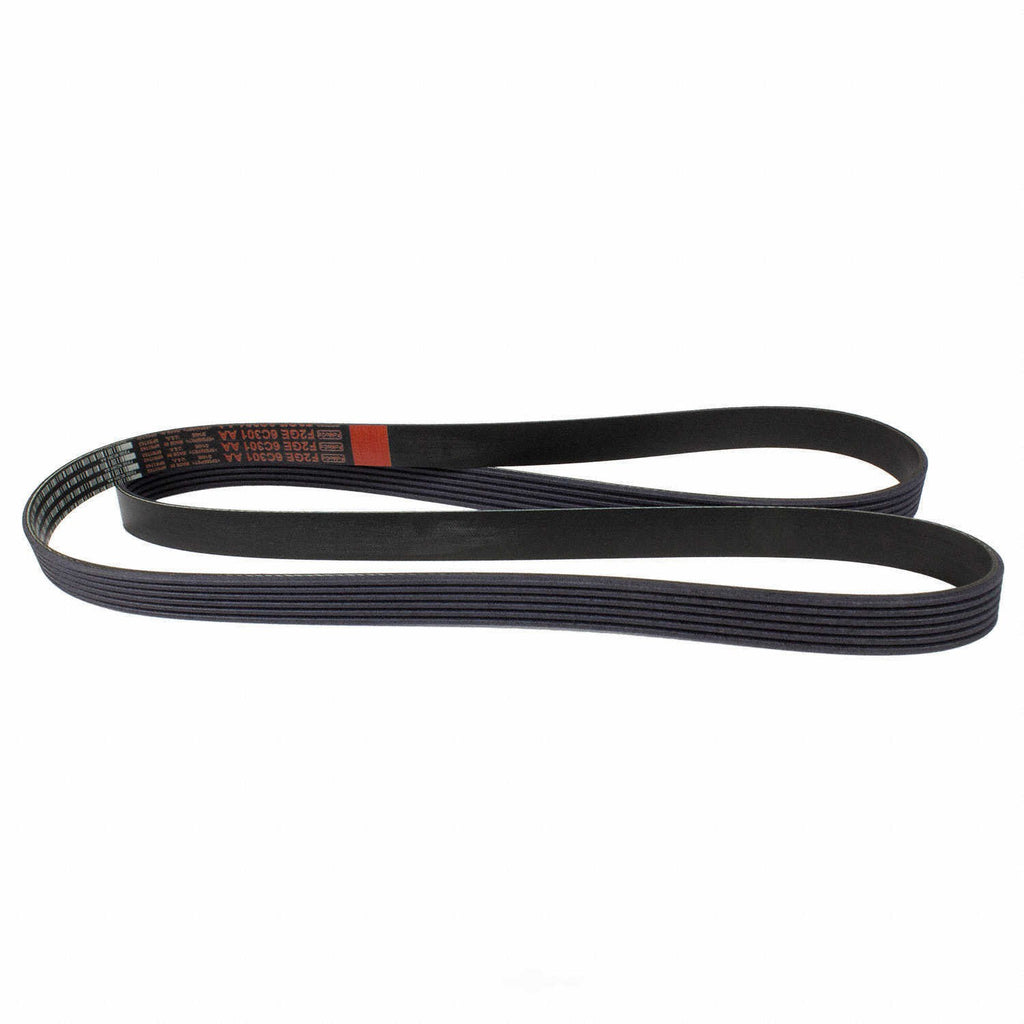 Serpentine Belt  Motorcraft  JK6-693