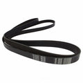 Serpentine Belt  Motorcraft  JK6-1141