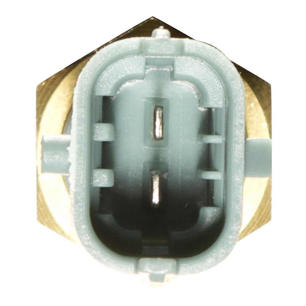 Coolant Temp Sensor  Delphi  TS10253