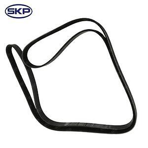 Serpentine Belt  Skyward Automotive  SK060875