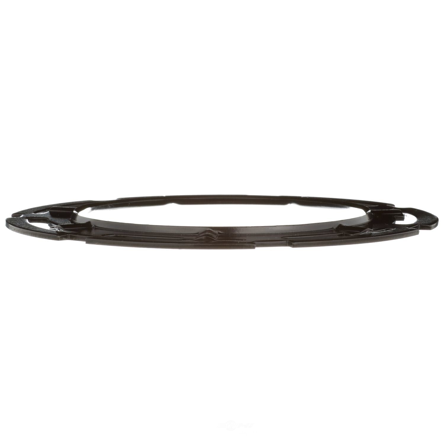 Locking Ring  Delphi  FA10025